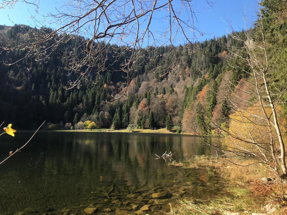 Feldberg Lounge - Residenz Grafenmatt Lägenhet Exteriör bild